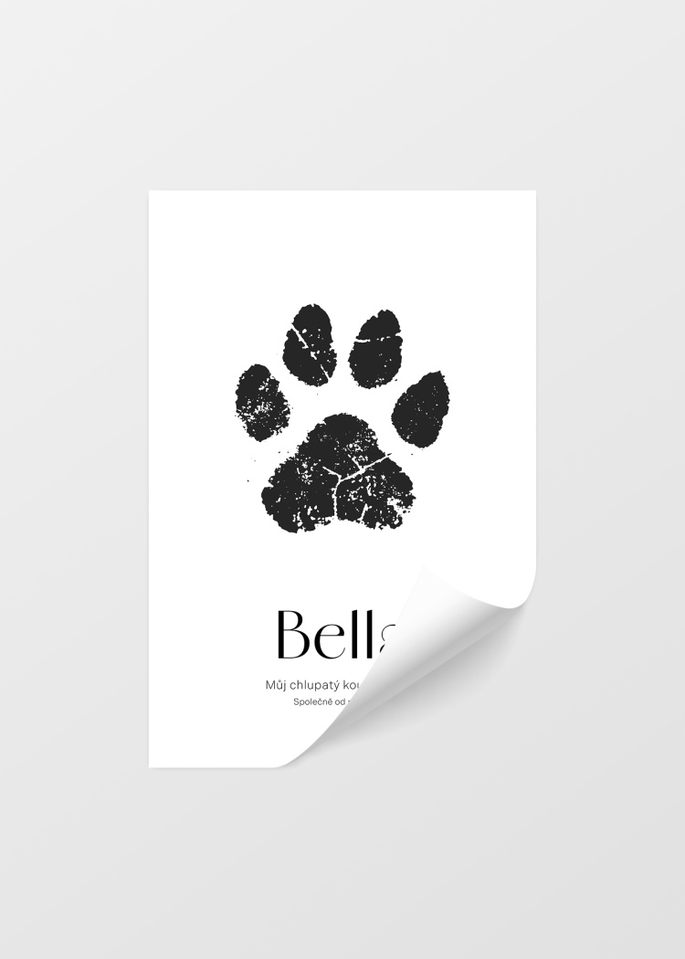 plakaty na miru psi tlapka 04