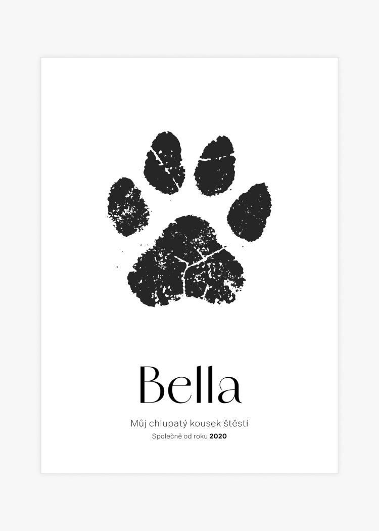 plakaty na miru psi tlapka 01