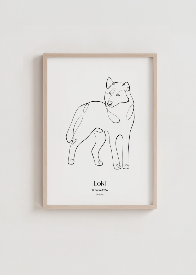 plakaty na miru zvireci pes husky 03