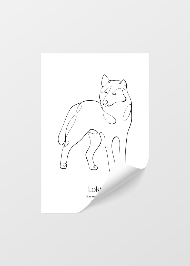 plakaty na miru zvireci pes husky 04