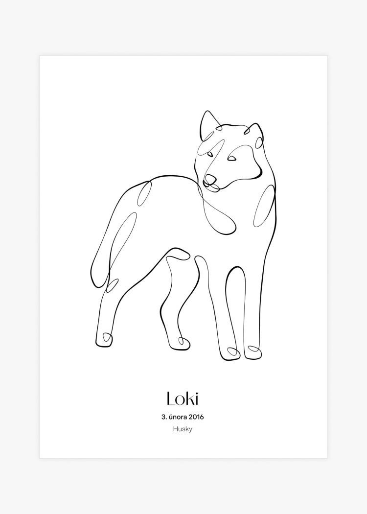 plakaty na miru zvireci pes husky 01