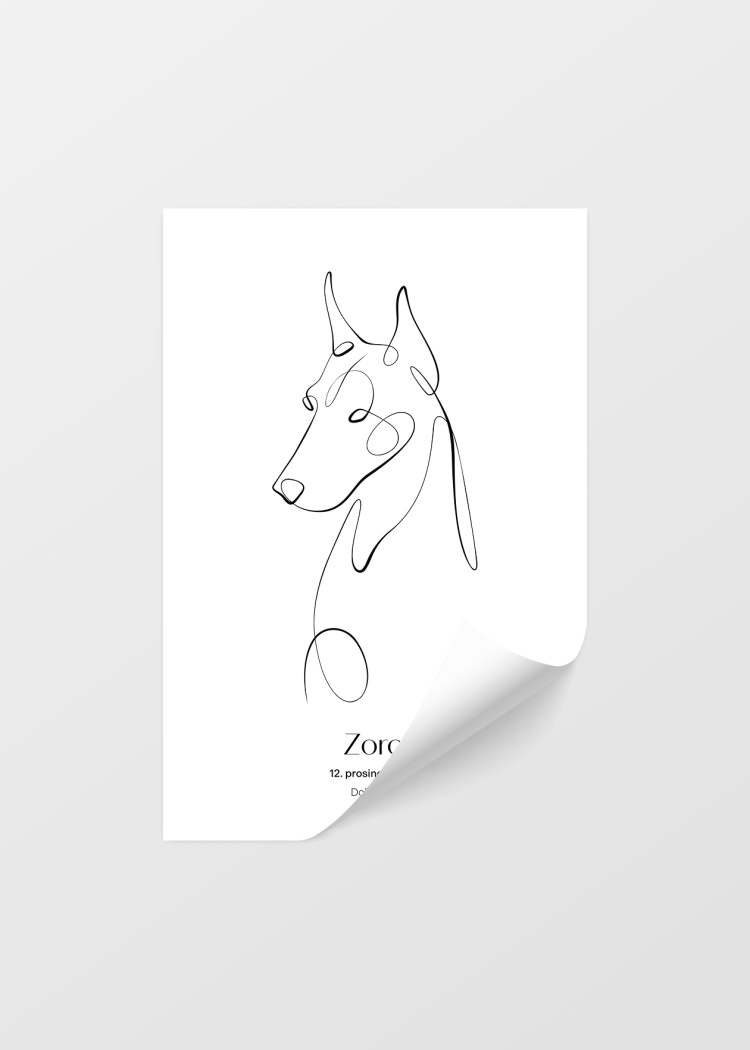 plakaty na miru zvireci pes dobrman 04