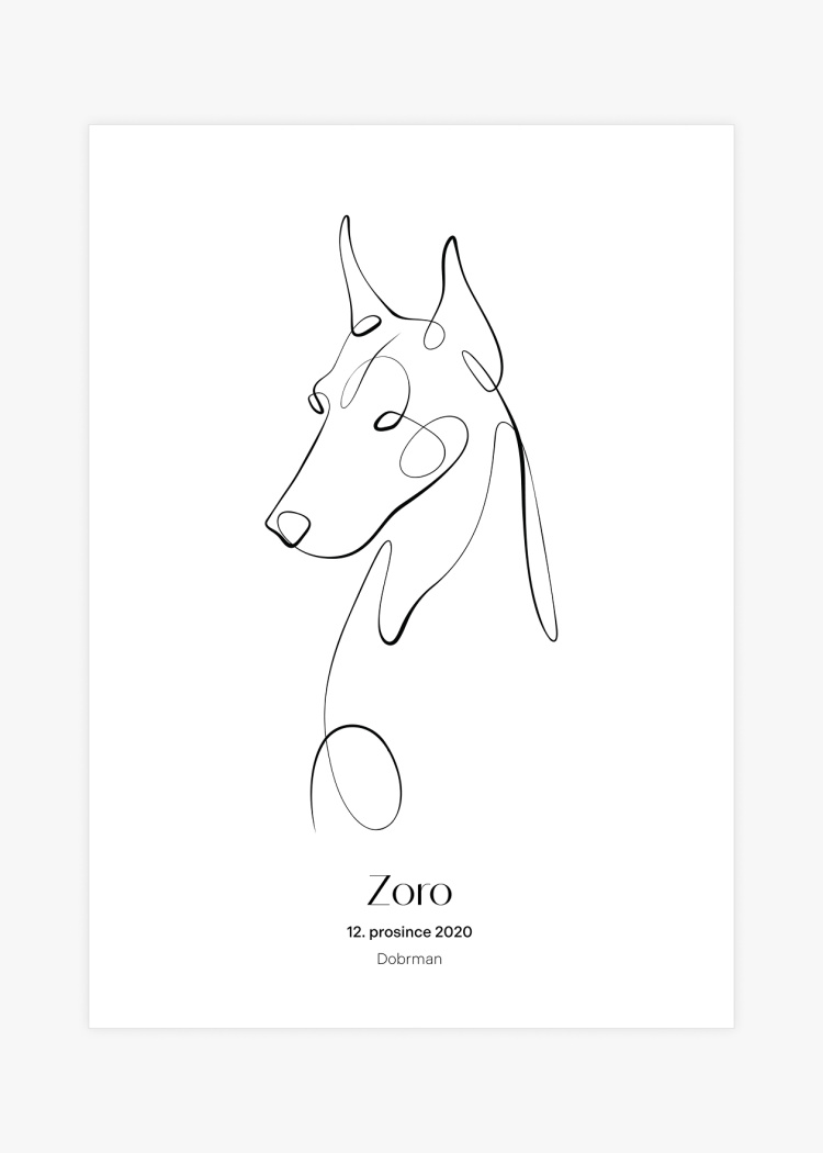plakaty na miru zvireci pes dobrman 01