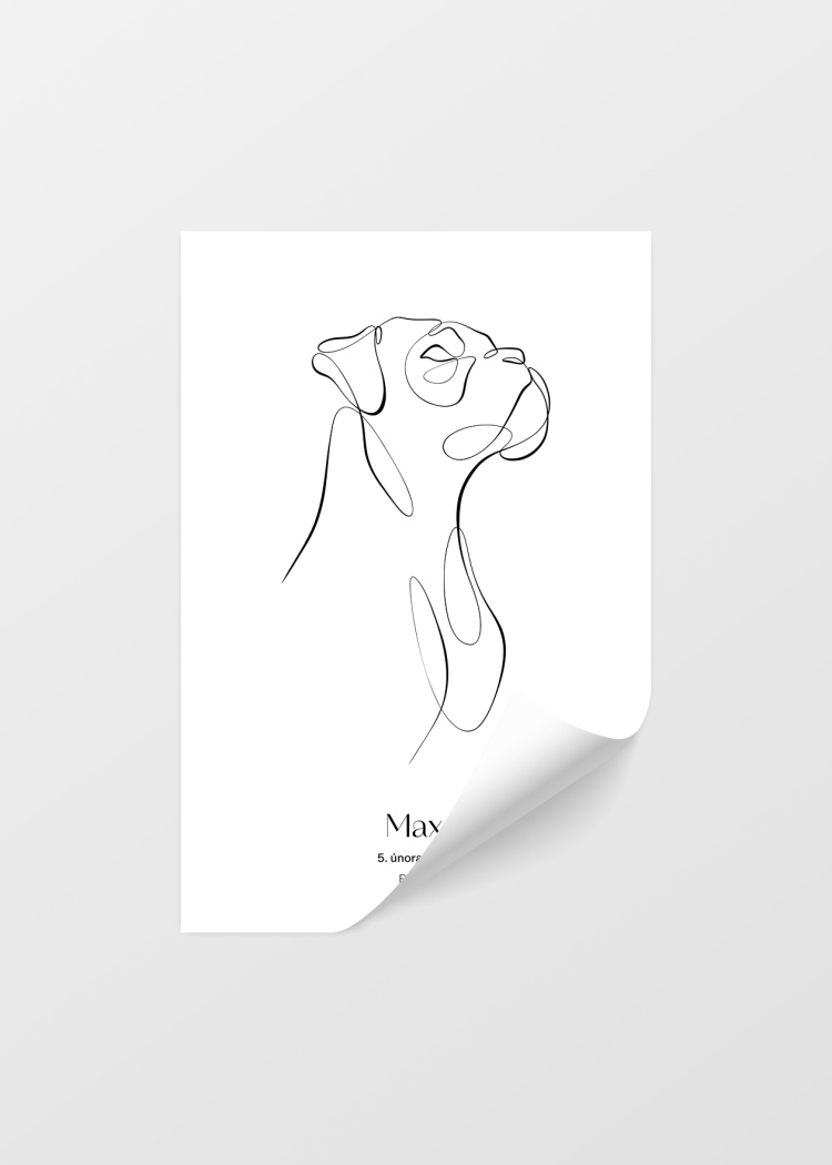 plakaty na miru zvireci pes boxer 04