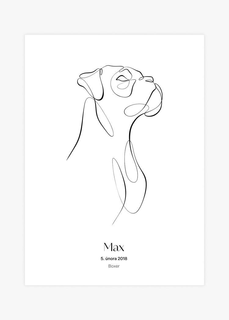 plakaty na miru zvireci pes boxer 01