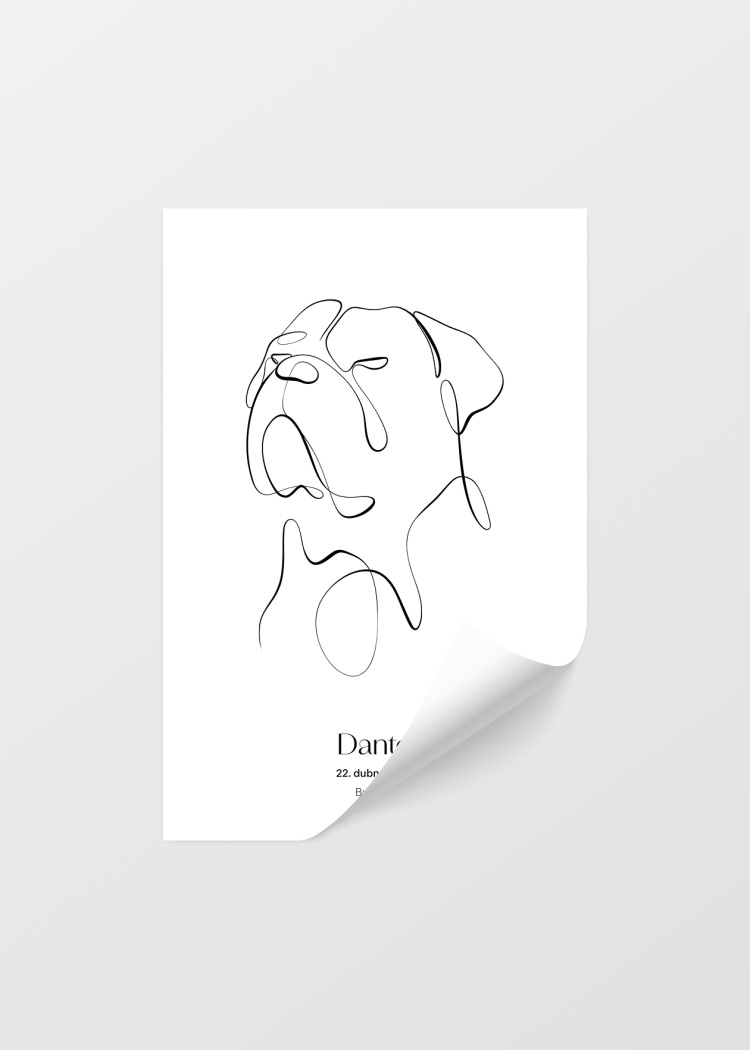 plakaty na miru zvireci pes bulldog 04