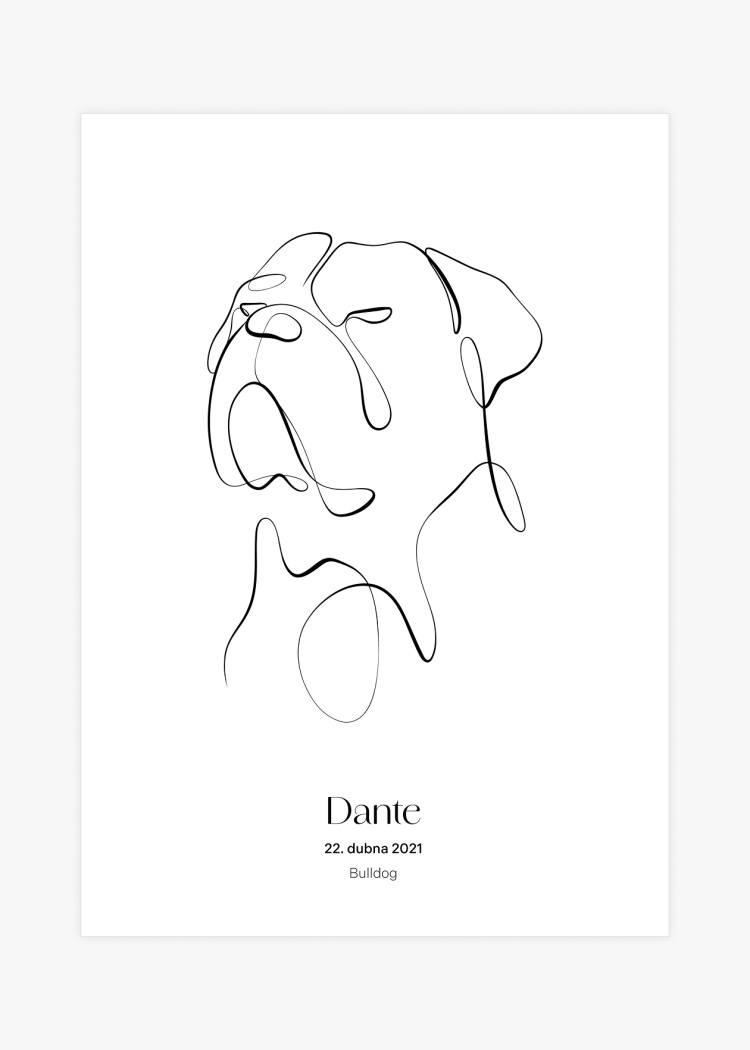 plakaty na miru zvireci pes bulldog 01