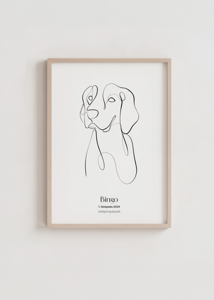 plakaty na miru zvireci pes velsspringspanel 03