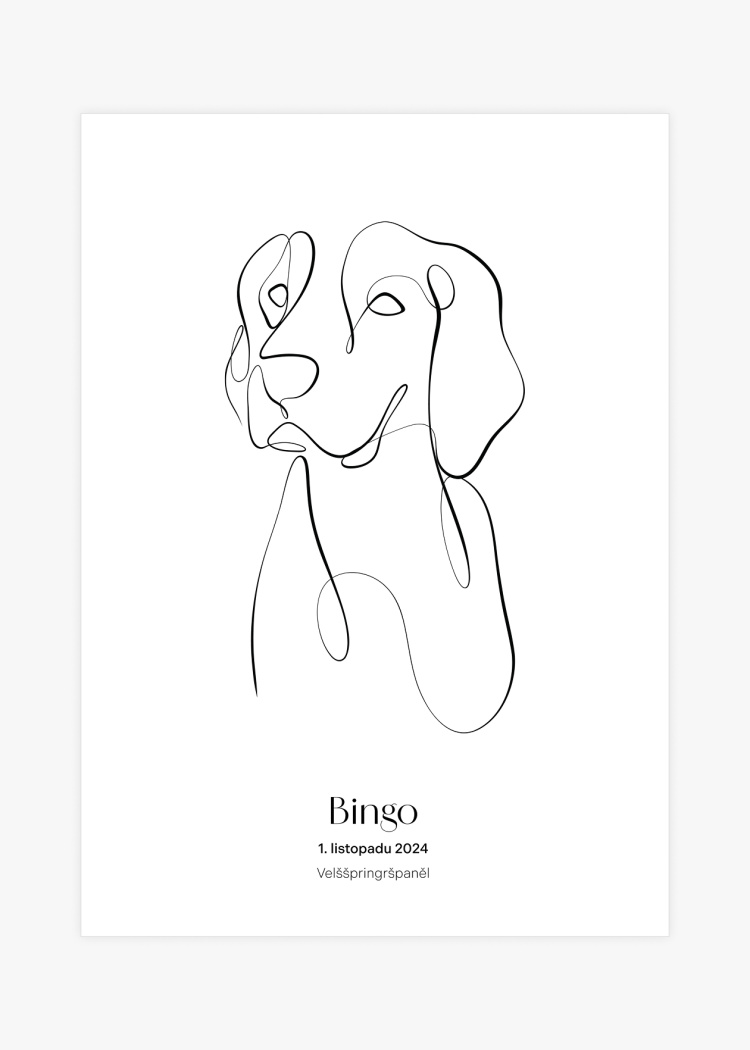 plakaty na miru zvireci pes velsspringspanel 01