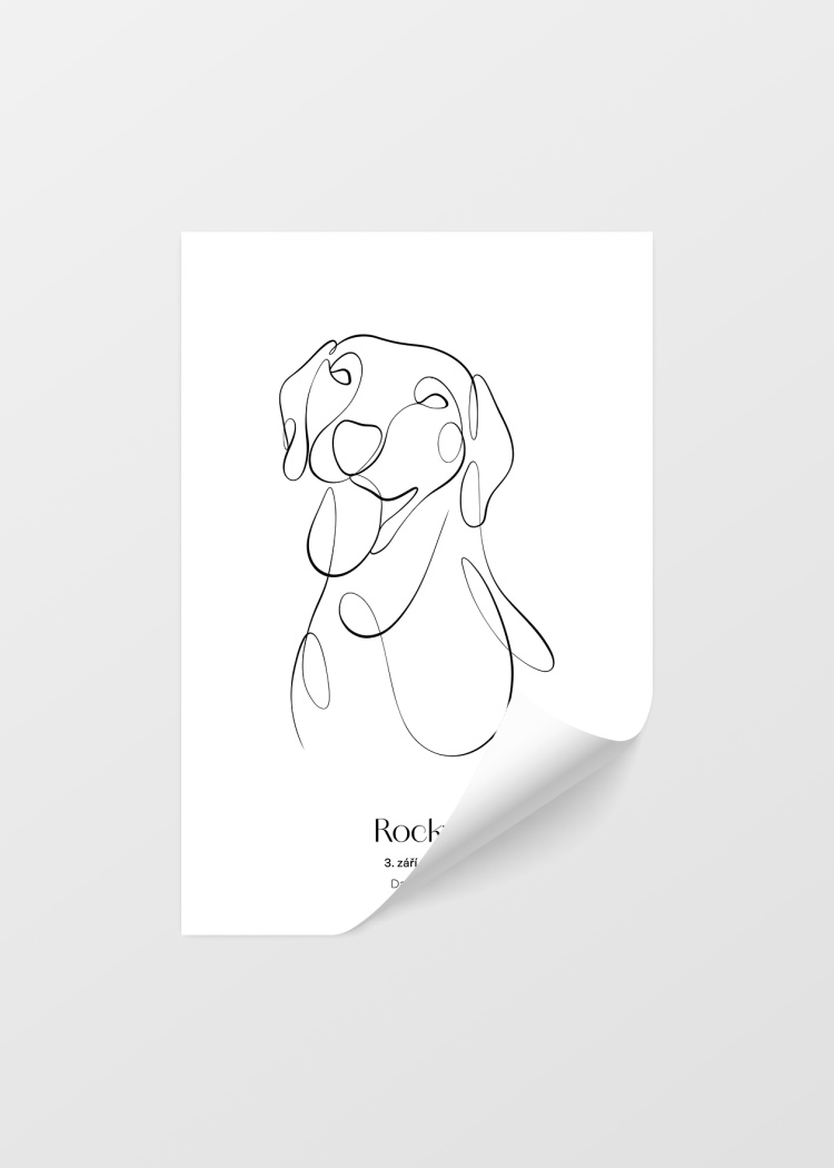 plakaty na miru zvireci pes dalmatin 04