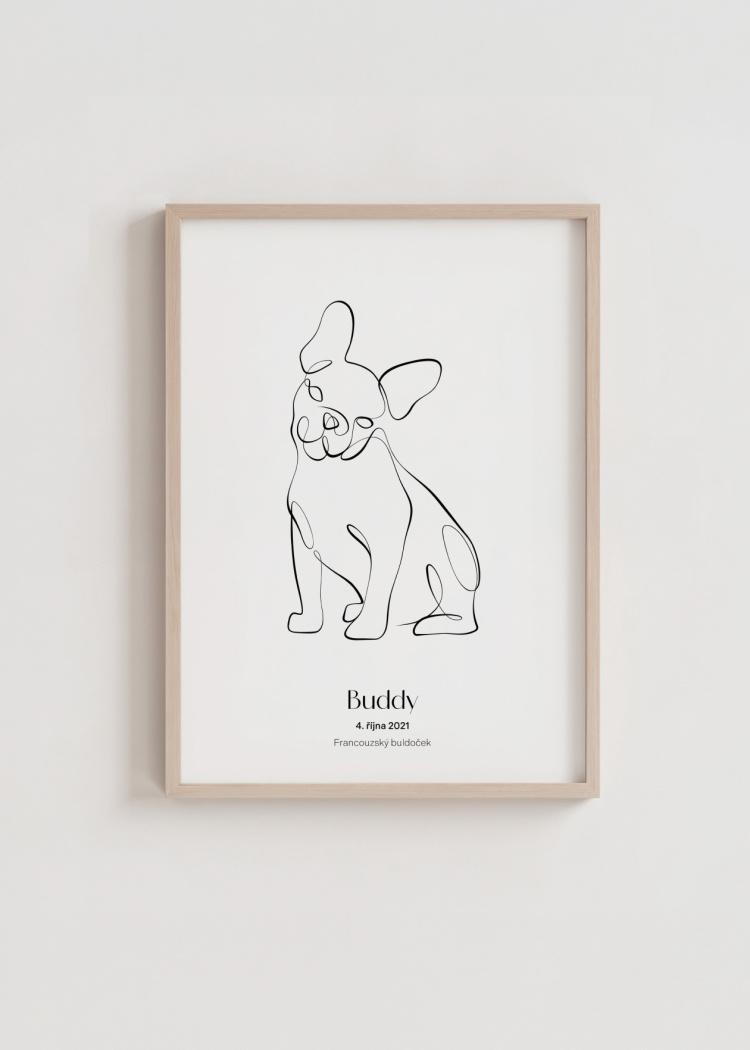 plakaty na miru zvireci pes francouzsky buldocek 03