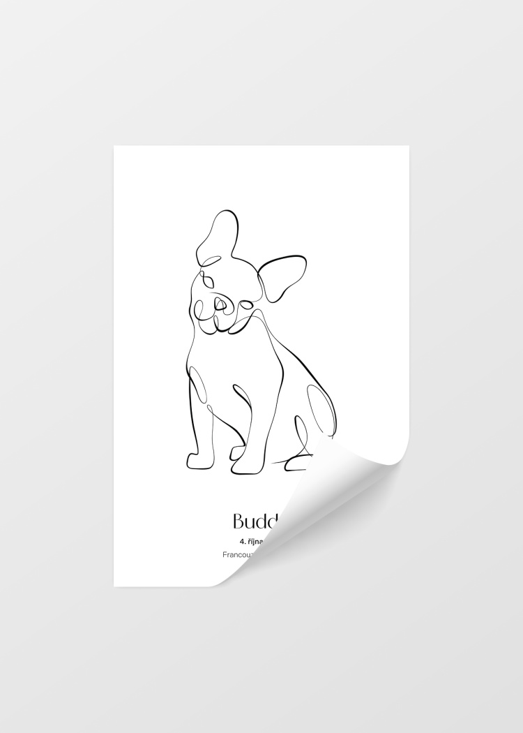 plakaty na miru zvireci pes francouzsky buldocek 04