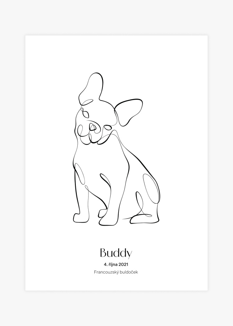 plakaty na miru zvireci pes francouzsky buldocek 01