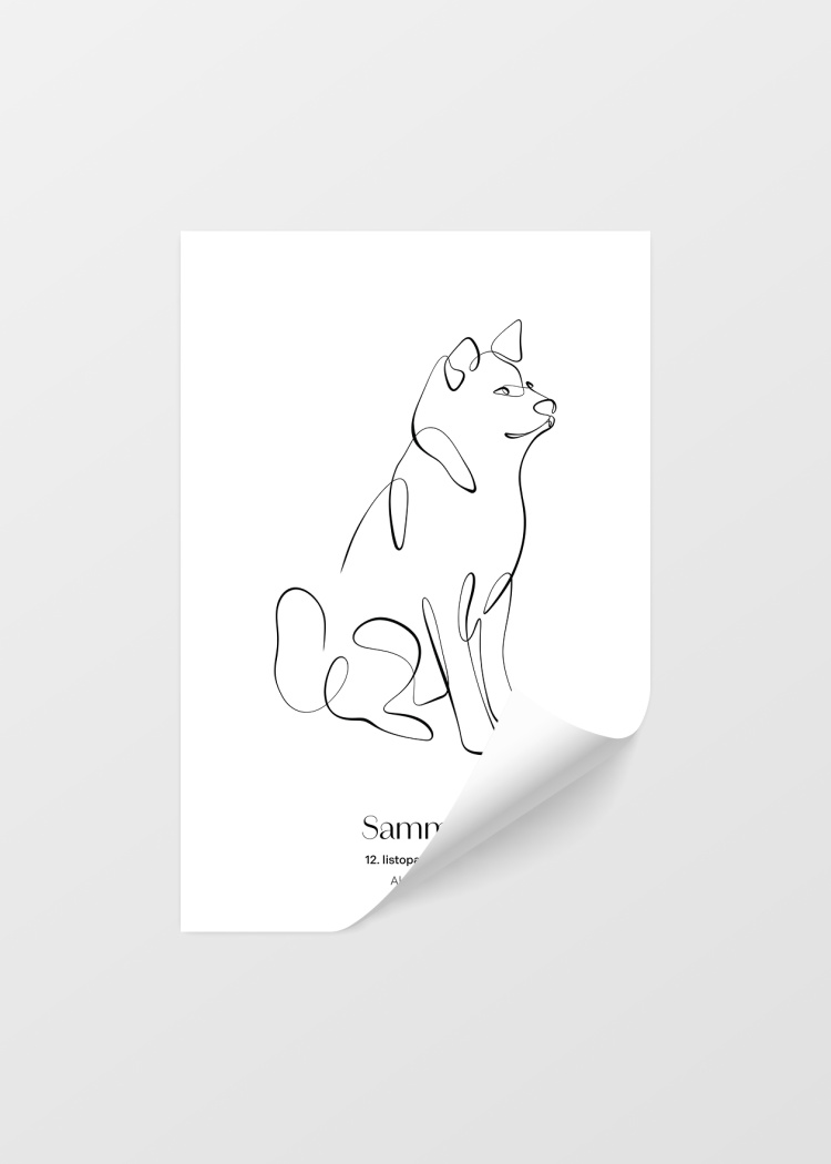 plakaty na miru zvireci pes akita inu 04