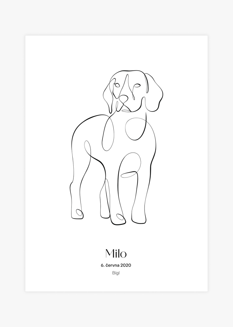 plakaty na miru zvireci pes bigl 01