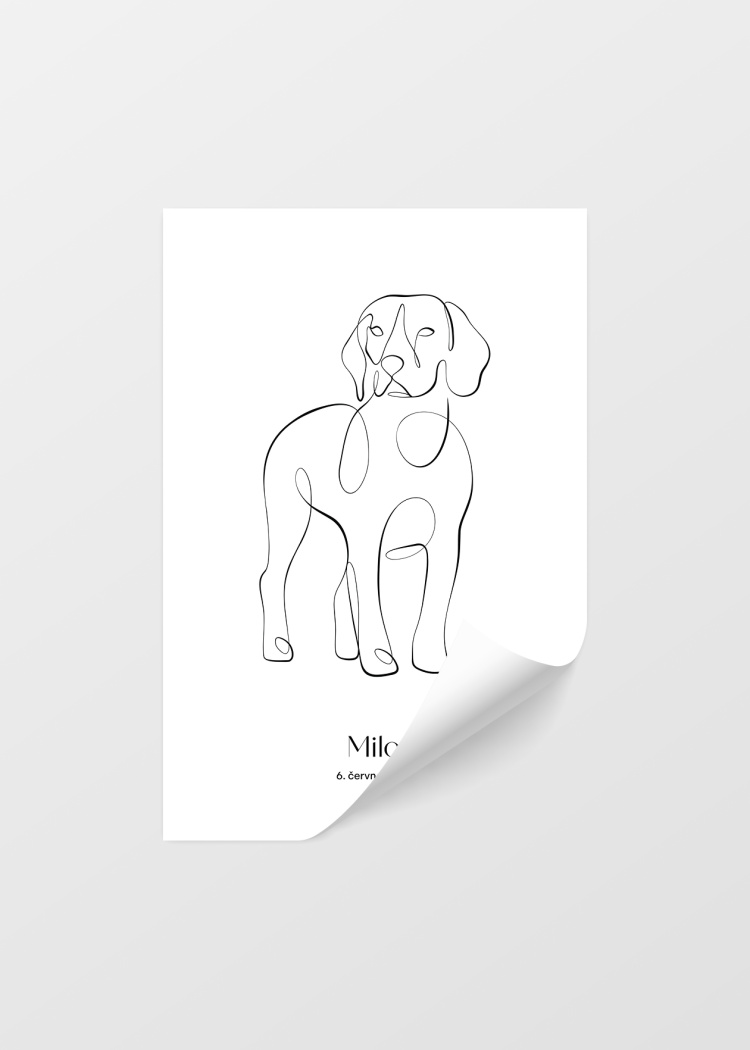 plakaty na miru zvireci pes bigl 04