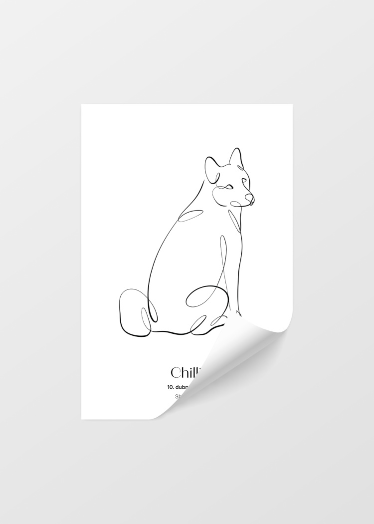 plakaty na miru zvireci pes shiba inu 04