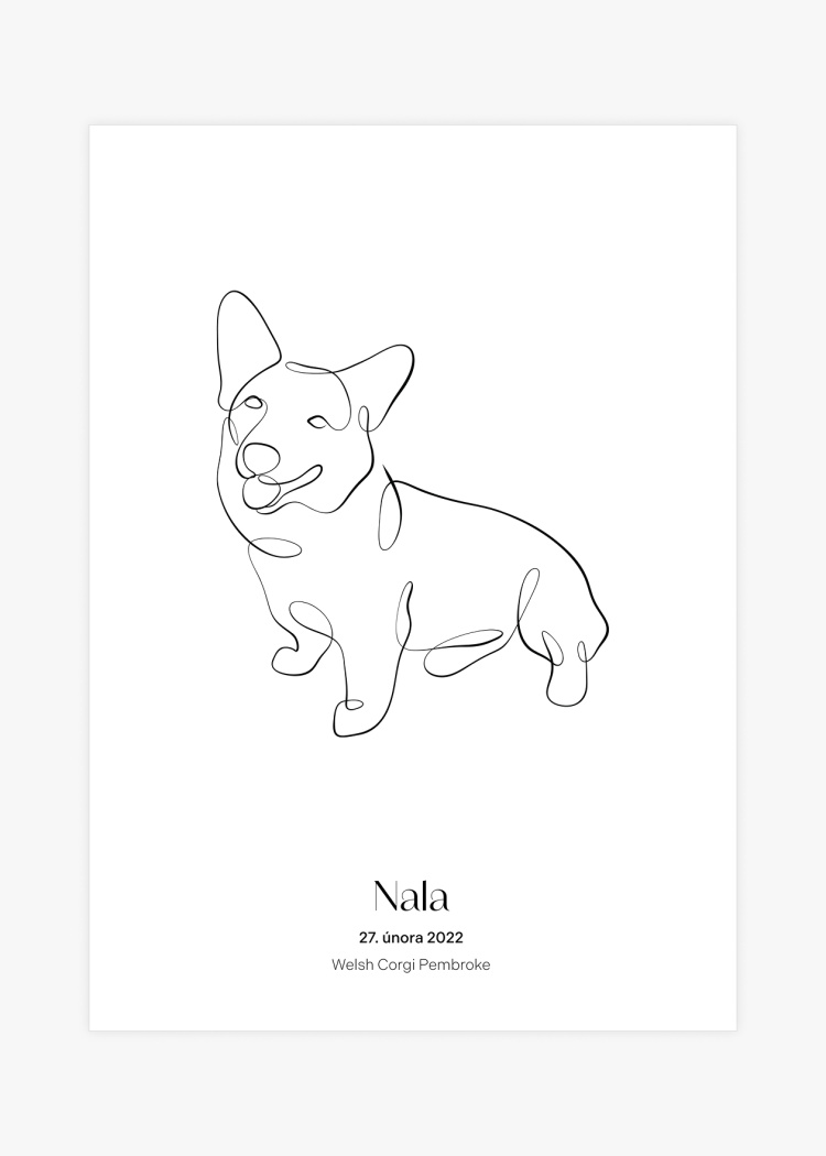 plakaty na miru zvireci pes welsh corgi pembroke 01