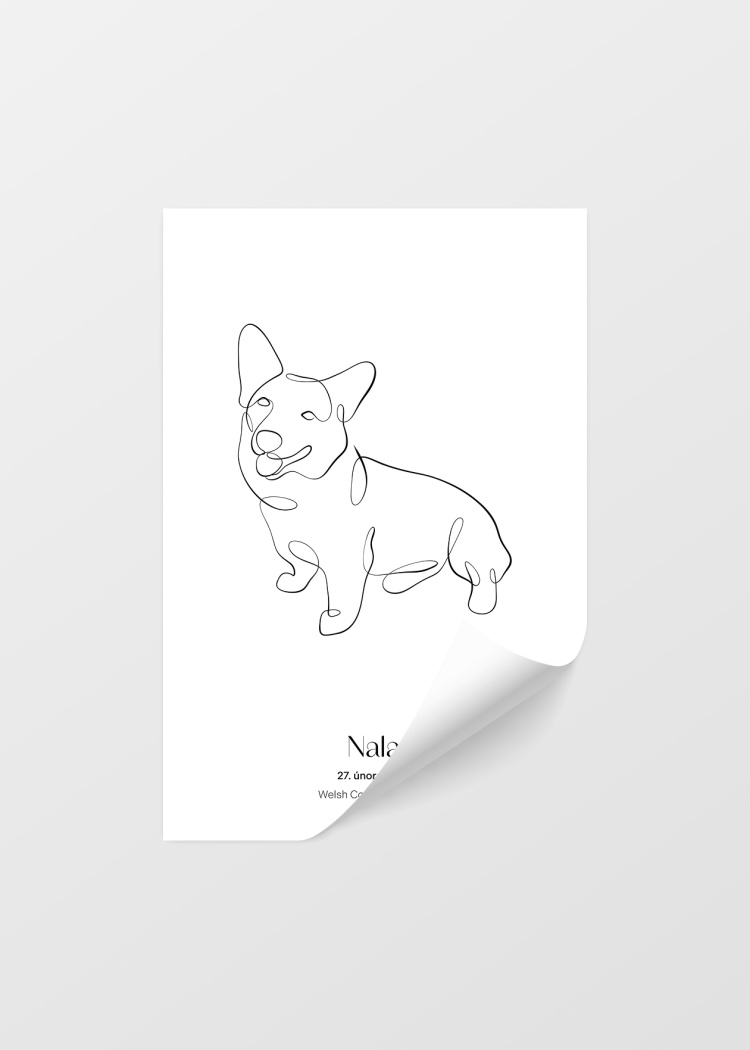 plakaty na miru zvireci pes welsh corgi pembroke 04