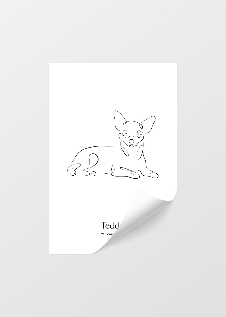 plakaty na miru zvireci pes civava 04