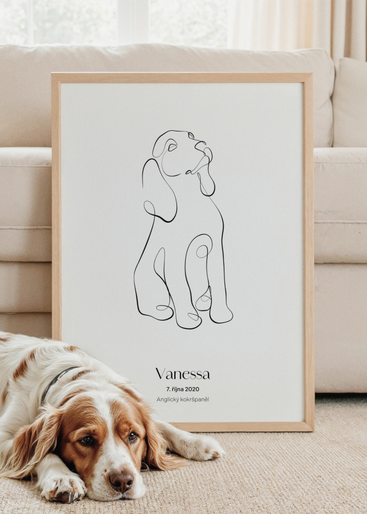 plakaty na miru zvireci pes anglicky kokrspanel 02