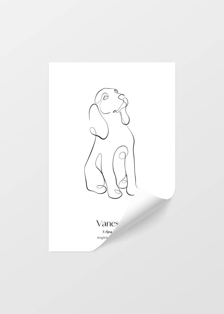 plakaty na miru zvireci pes anglicky kokrspanel 04