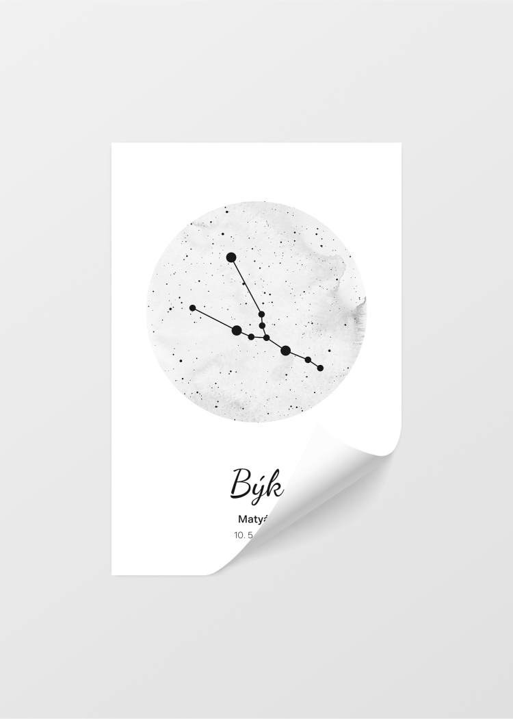 plakaty znameni byk 04