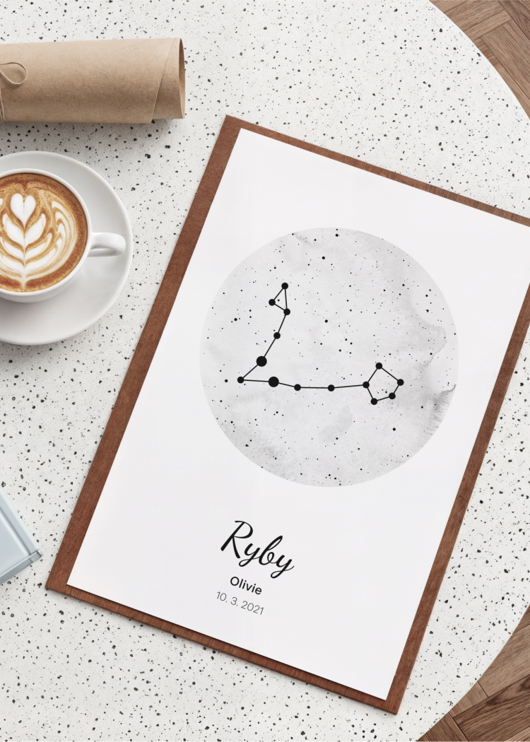 plakaty znameni ryby 02