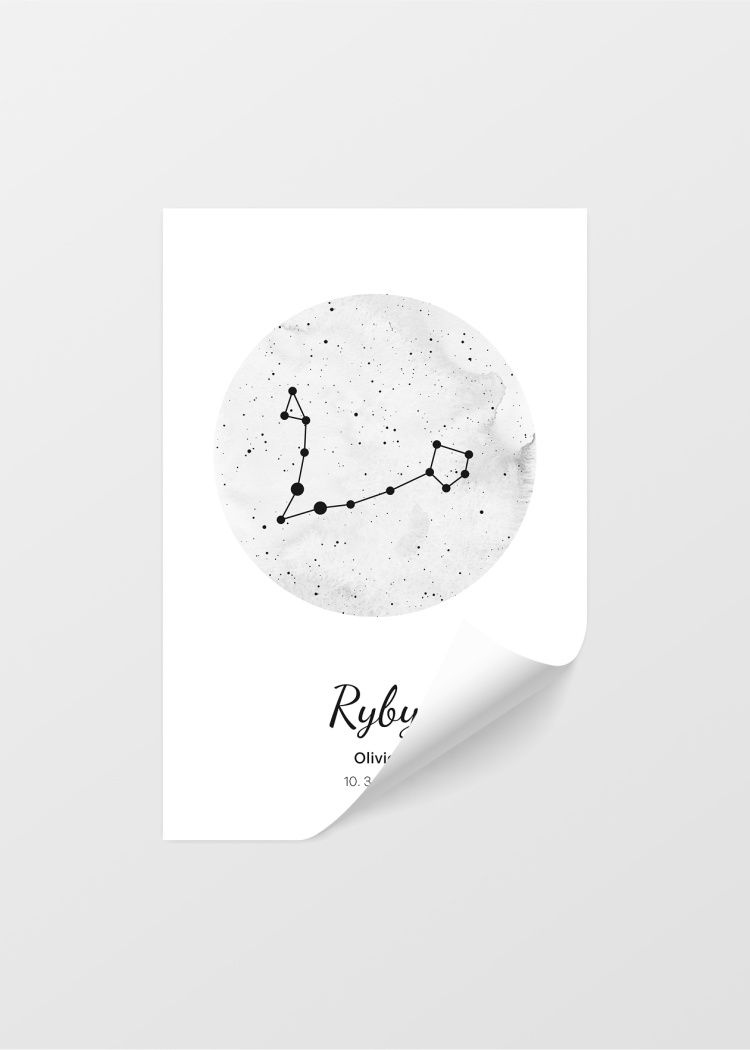 plakaty znameni ryby 04