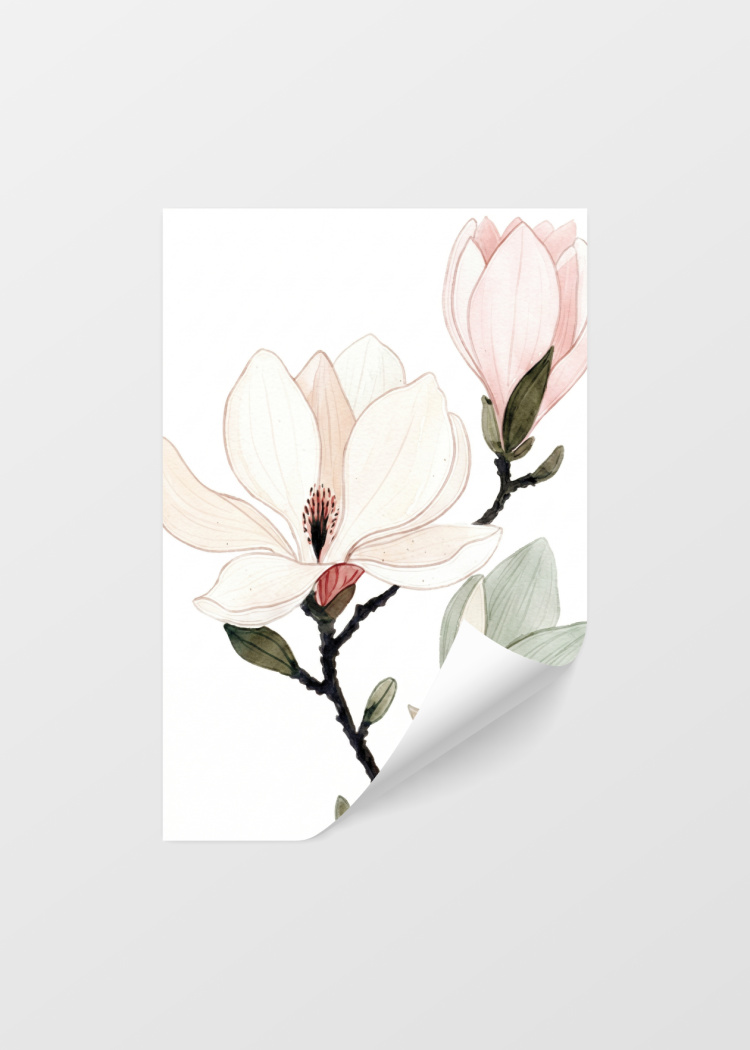 plakaty rostliny akvarelova ilustrace magnolie i 04
