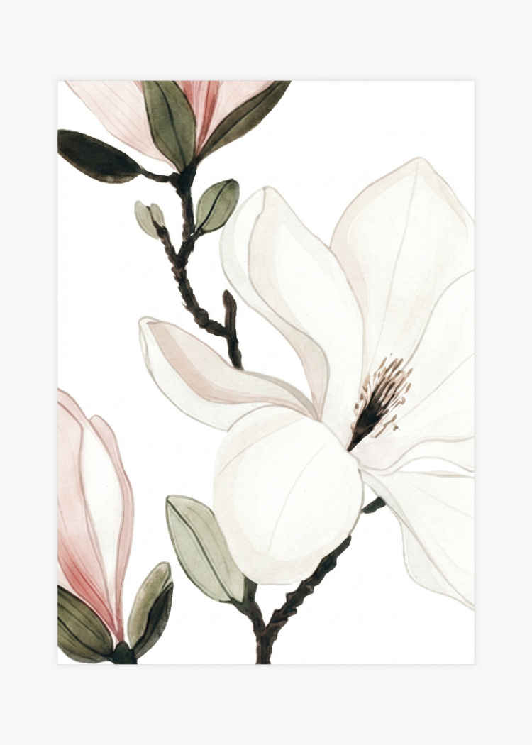 plakaty rostliny akvarelova ilustrace magnolie ii 01