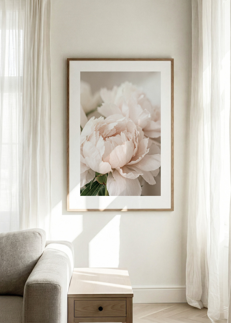 plakaty rostliny ruzova pivonka III 02