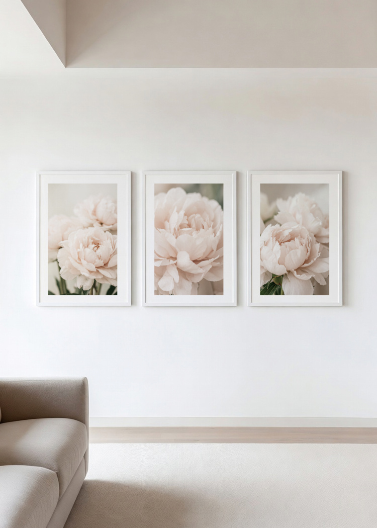 plakaty rostliny ruzova pivonka III 03