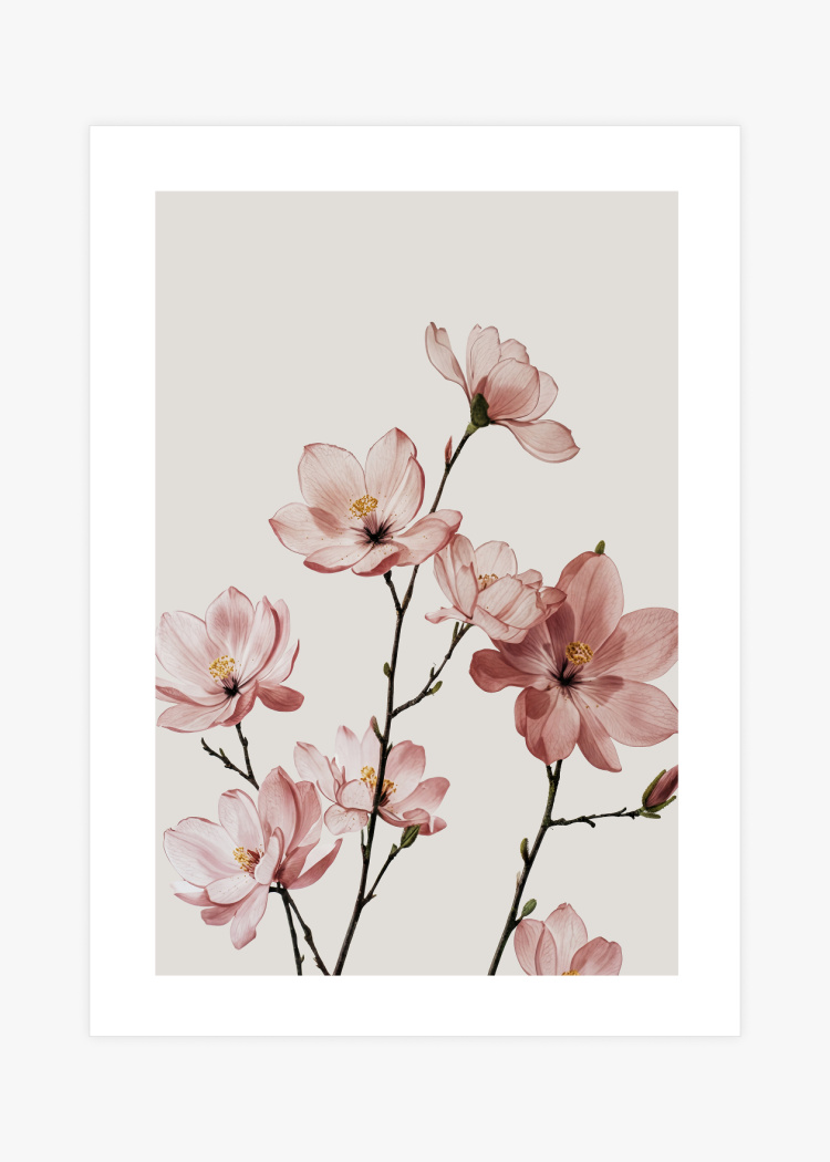 plakaty rostliny elegance magnolie II 01