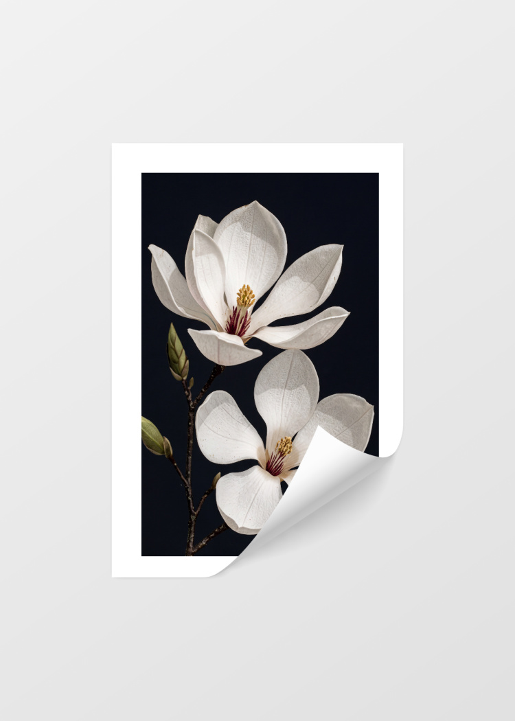 plakaty rostliny elegance magnolie III 04