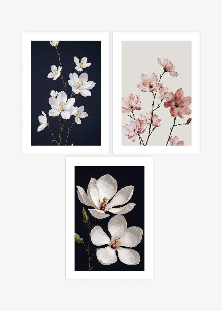plakaty sady plakatu elegance magnolie 01
