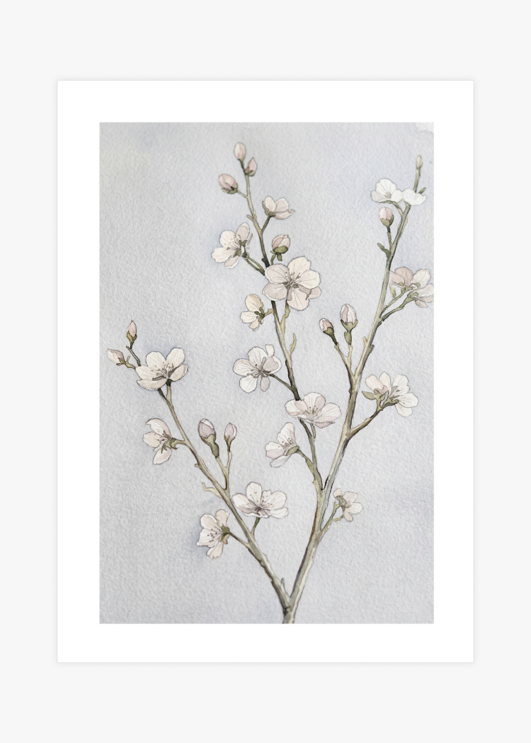 plakaty rostliny esence kvetu i 01