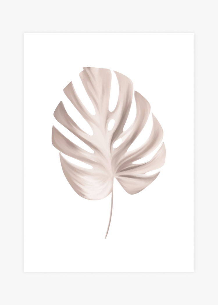 plakaty rostliny kresba monstera 01 v1