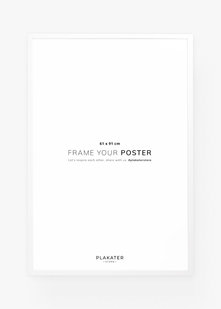 ramy bily 61x91 predni