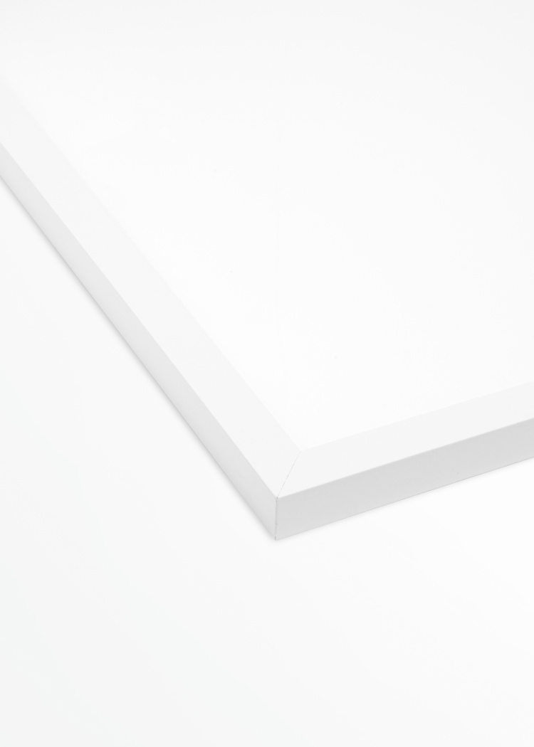 ram bily detail predni