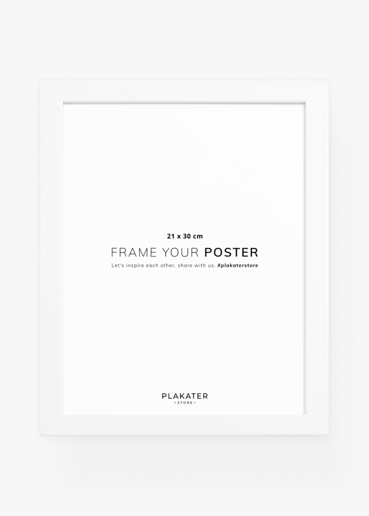 ramy bily 21x30 predni