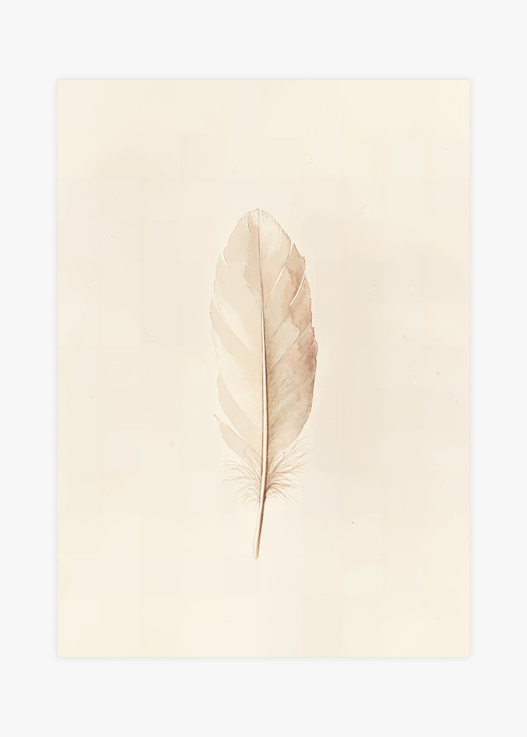 plakaty detske pirko 01 v1