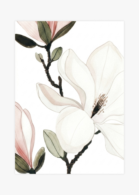 plakaty rostliny akvarelova ilustrace magnolie ii 01