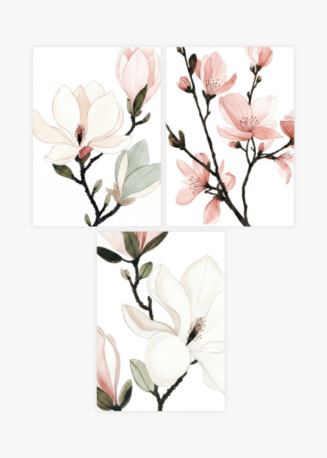 plakaty sady akvarelova ilustrace magnolie a sakura 01