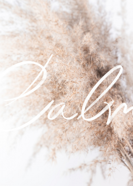 plakat typograficke calm 01 | Plakater.store