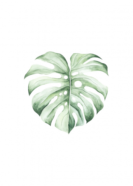 plakat rostliny tropicke listy II 01 | Plakater.store