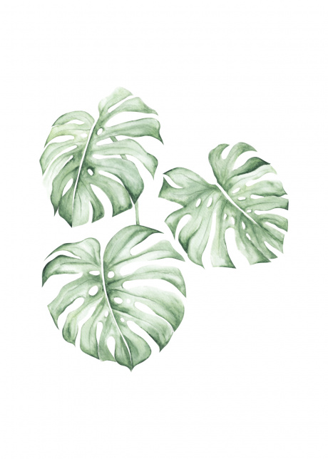 plakat rostliny tropicke listy III 01 | Plakater.store